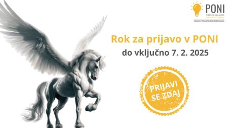 PONI JV SLOVENIJA