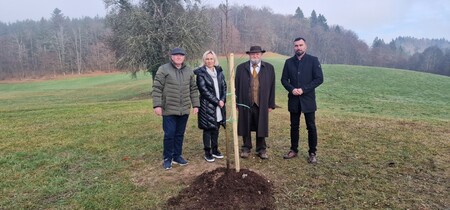 Mirna - posadili so lipe, foto Lapego (5)