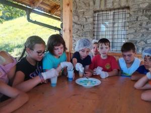 43676328_2290102594554052_5759930883469475840_n