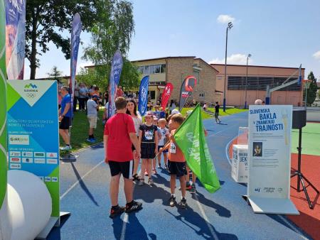 Slovenska bakla na Mirni