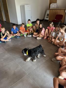 Igrivi Jurček na Mirni