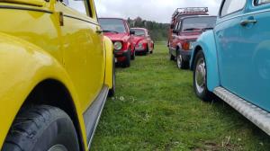 foto-11-blagoslov-starodobnikov-14524937