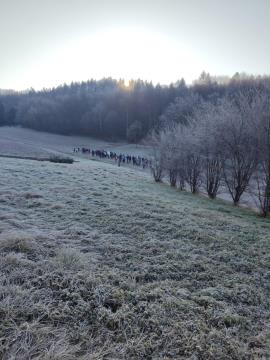 Pohod na Debenec 2024, foto IK