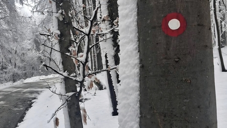 Pohod na Debenec, foto C Miklic (LNPD)