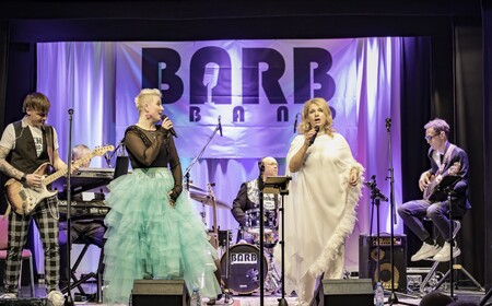 BarbBand - koncert na Mirni, foto Aleš Udovč