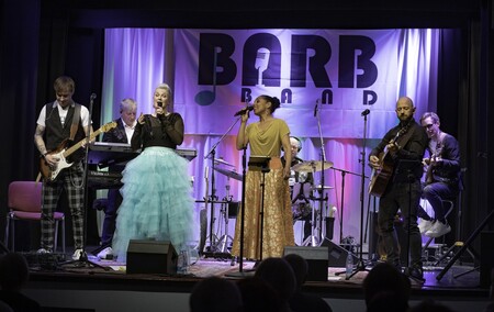 BarbBand - koncert na Mirni, foto Aleš Udovč