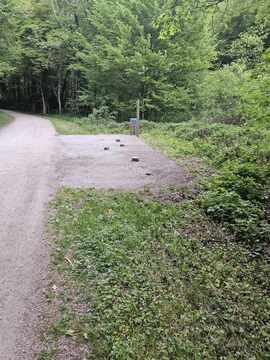 Delovna akcija - tretji dan