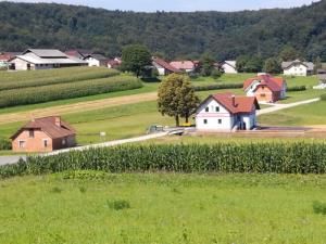 IMG_20180709_101535